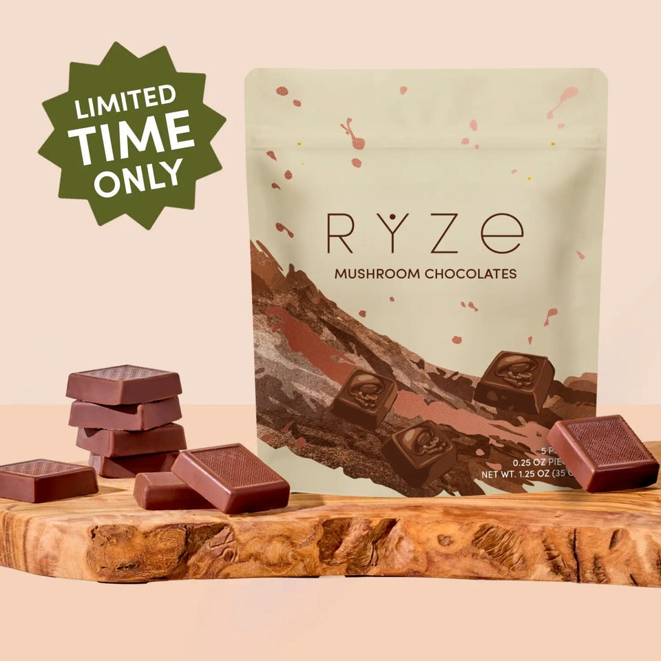 Mushroom Chocolates Rye (15 pieces) - Modern Mushroom Carry